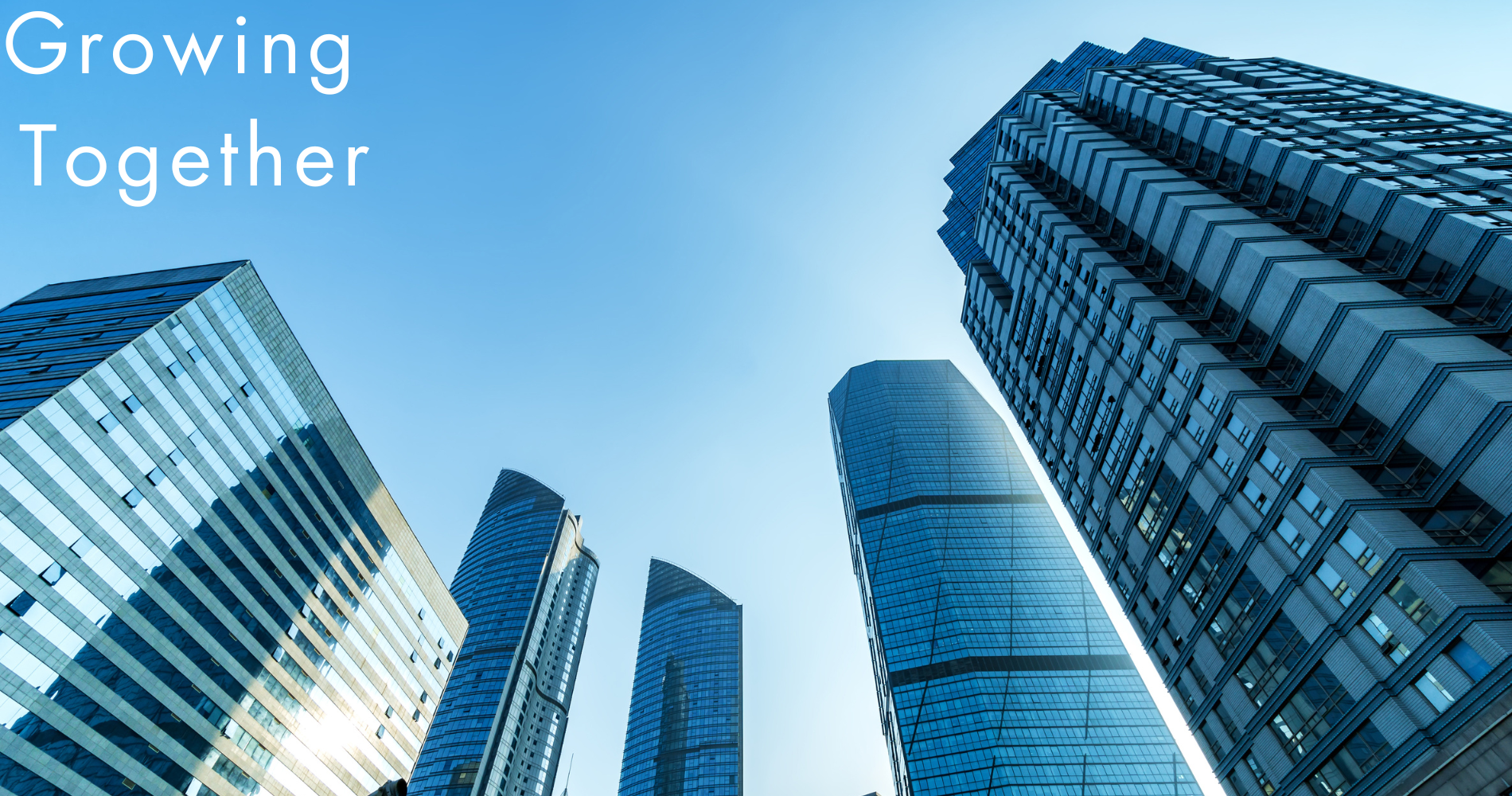 シンプルでカスタマイズしやすいWordPress.org登録テーマ